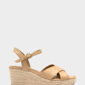 Casarina